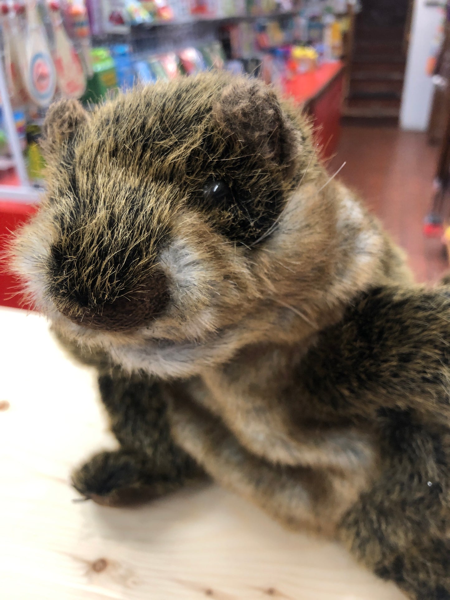 Folkmanis Groundhog Puppet 14"