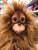 Folkmanis Baby Orangutan Puppet 12"