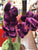 Jellycat Amuseable Orchid Plush 11"