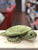 Douglas Pebbles Sea Turtle Plush 9"