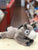 Douglas Skeffy Floppy Donkey Plush 11"