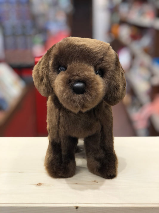 Adorable chocolate Labrador plush toy standing on display, with soft brown fur and expressive dark eyes