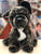 Douglas Billie French Bulldog Plush 12"