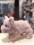 Douglas Pinkie Soft Pig Plush 9"