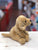 Douglas Gracie Golden Retriever Plush 6"