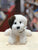 Douglas Mini Donnie Soft Puppy Plush 6"