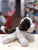 Douglas Mini Donnie Soft Puppy Plush 6"