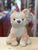 Gund Glamour Corgicorn Plush 9"