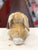 Aurora Miyoni Lop-Eared Rabbit Plush 8"