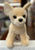 Douglas Carlos Chihuahua Dog Plush 10”