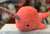 Jellycat Coral Sea Sorbet Plush 9”