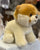 Gund BOO Dog Plush 9”