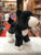 Douglas Snippy Black and White Cat Plush 8"