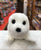 Douglas Sprinkles White Seal Plush 9" long