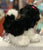 Douglas Poofy Shih Tzu Black and White Dog Plush 10”