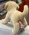 Douglas Spankie Dog Plush 12”