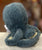 Jellycat Storm Octopus Plush 7”