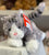 Gund Bootsie Grey Cat Plush 11”