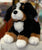 Gund Randle Bernese Mountain Dog Plush 13”