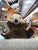 Folkmanis Baby Sea Otter Puppet 6”