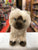 Douglas Hilda Himalayan Cat Plush 8"