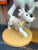 Snowy with Bone Resin Figurine Ref. 42222