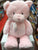 Baby Gund My First Teddy Pink Plush 18"