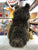 Folkmanis Yorkie Pup Puppet 9”