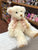 Douglas Cream Fuzzy Teddy Bear Plush 6"