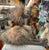 Jellycat Odette Ostrich Plush 20”