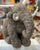 Jellycat Cassius Woolly Mammoth Plush 14”