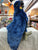 Folkmanis Blue Macaw Puppet 15”