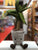 Jellycat Amuseable Dragon Tree Plush 12"