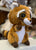 Ty  Beanie Boo Medium Rusty Raccoon Plush 13”