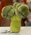 Jellycat Broccoli Plush 6”
