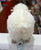 Jellycat Rolbie Sheep Plush 8”