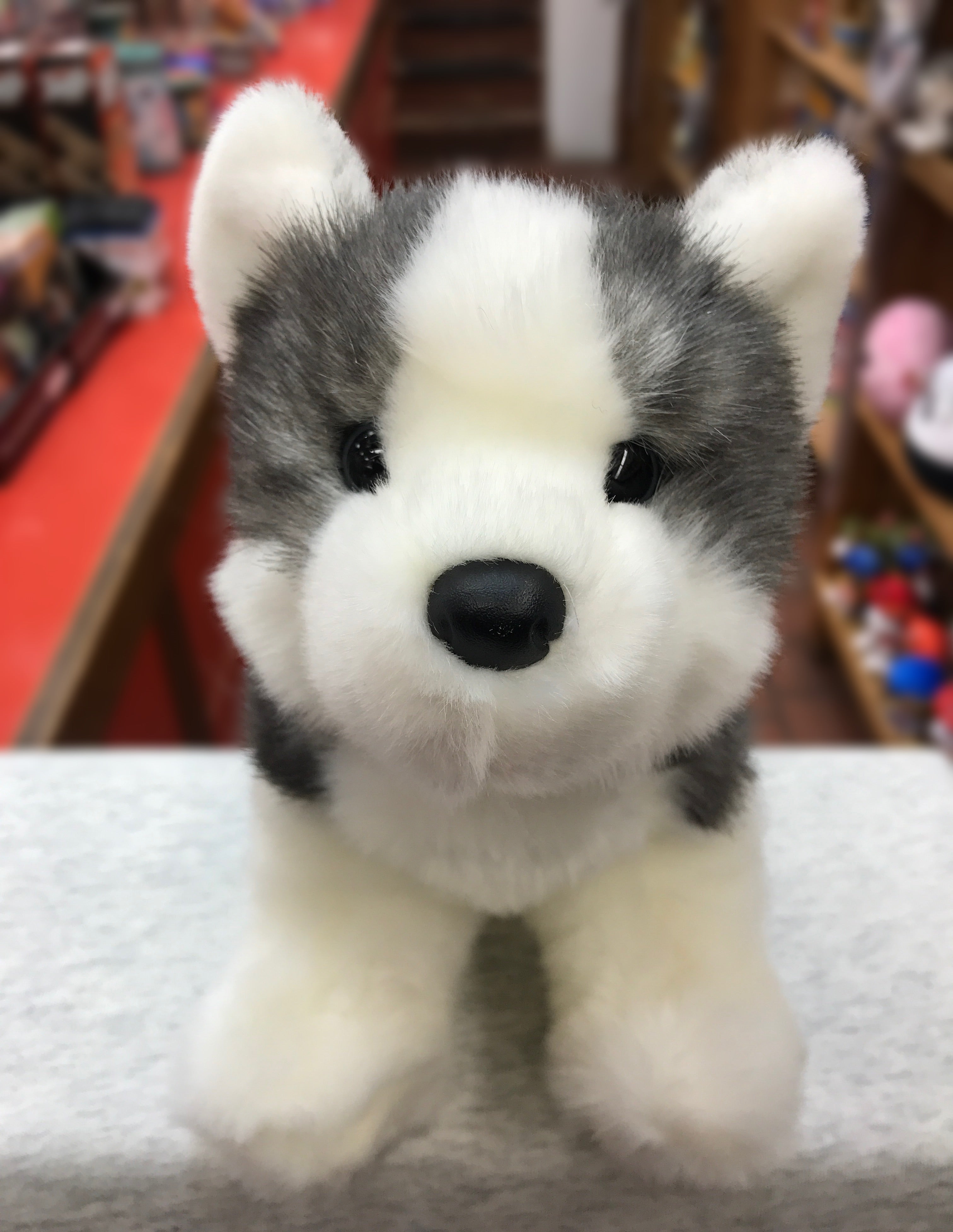 Husky Toys - Engaging Toys for Your Energetic Husky