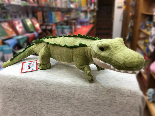Realistic green alligator plush toy with textured scales and spiky back, displayed in a store with bookshelves in background