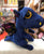 Ty Beanie Boo Medium Saffire Blue Speckled Dragon Plush 13"
