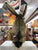 Folkmanis Jack Rabbit Puppet 21”