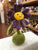 Jellycat Flowerlette Pansy Plush 8"