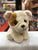 Ty Original Beanie Babies Houghie Tan Pug Plush 8"