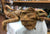 Folkmanis Frilled Lizard Puppet 18"