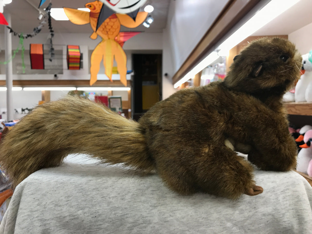 Folkmanis® Handpuppen - Eichhörnchen / Red Squirrel Folkmanis® Handpuppen - Eichhörnchen / Red Squirrel