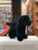 Douglas Abraham Black Lab Plush 7"