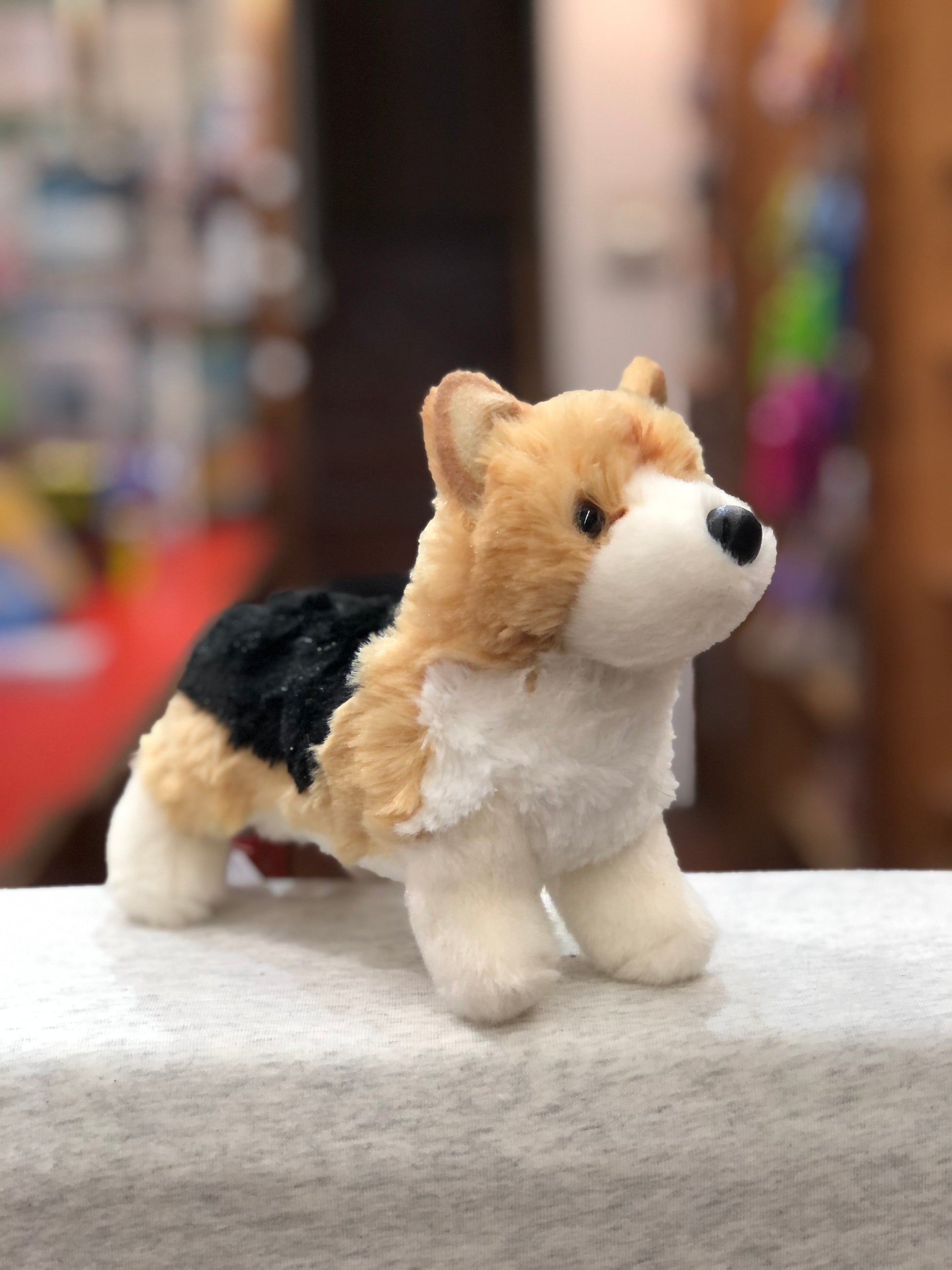 Douglas Shorty Tri-Color Corgi Plush 7