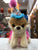 Gund Boo The World's Cutest Dog Itty Bitty Boo Birthday Tutu Plush 5.5"
