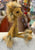 Jellycat Swellegant Gina Giraffe Plush 13”