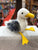 Douglas Seymour Seagull Plush 8"