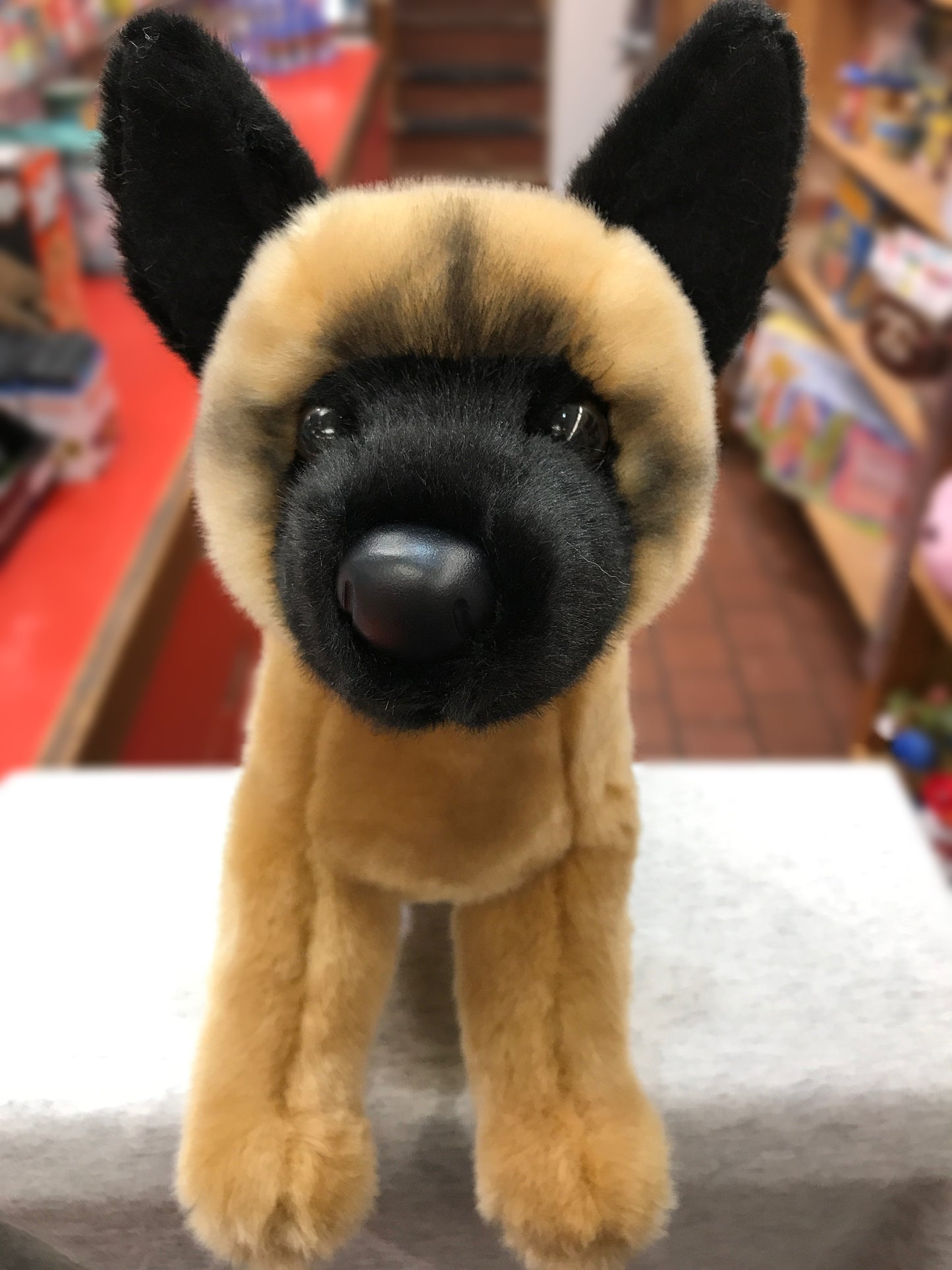 Douglas Klaus Belgian Malinois Dog Plush 12"
